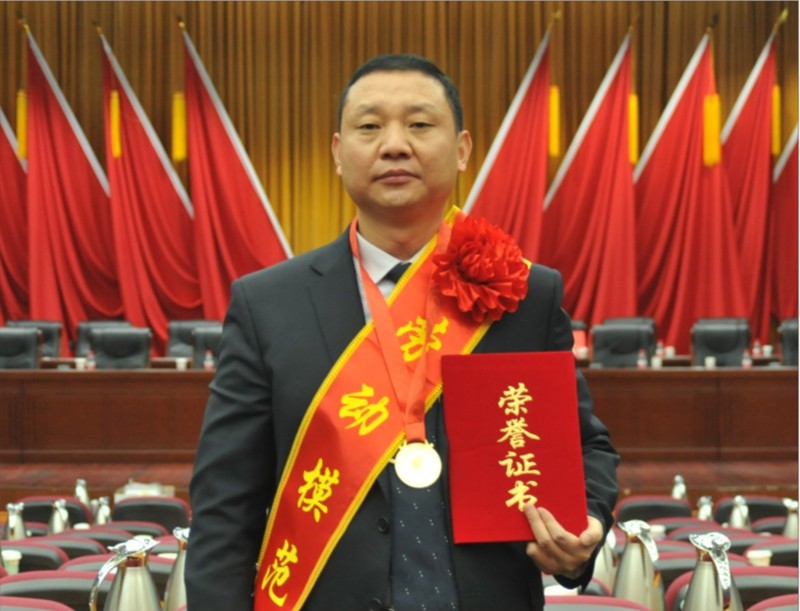 杨树合