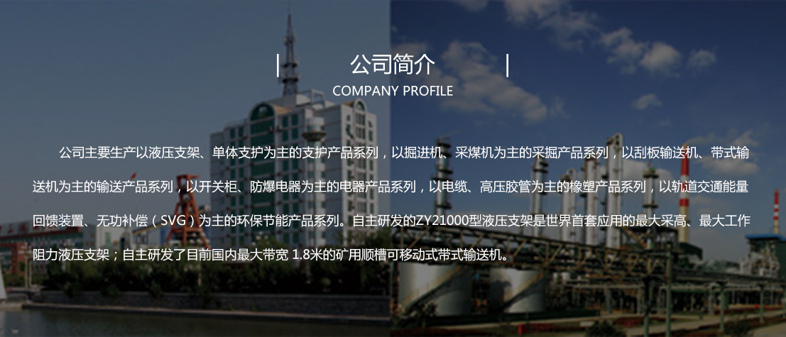 company_intro