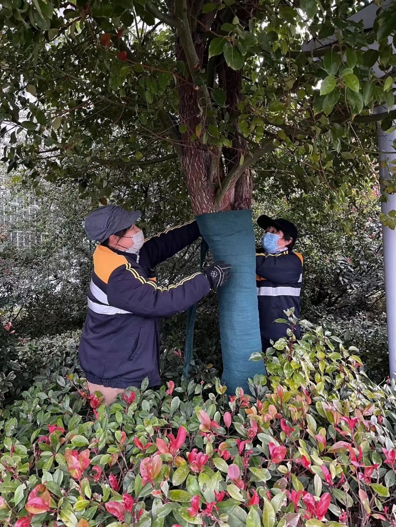微信图片_20231222164442